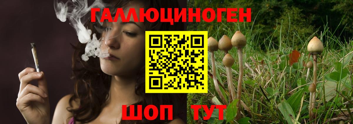 наркота  Галлюциногенные грибы мицелий  Вход с VPN  Светлоград 